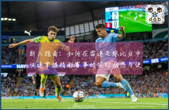 新人指南：如何在雷速足球比分中快速掌握精彩赛事的实时动态与使用技巧